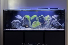 Max-Aquarium-440-Liter-5