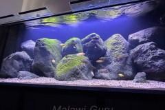 Max-Aquarium-440-Liter-7