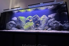 Max-Aquarium-440-Liter-8