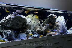 Mbuna Becken als Felszone 720 Liter