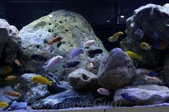 Becken-2-1
