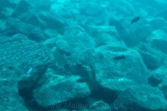 Membe Island
