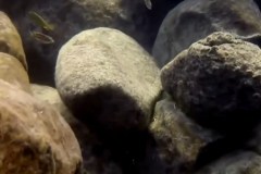 Mitande Reef