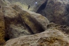 Mitande Reef