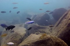 Mitande Reef