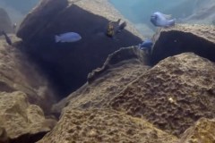 Mitande Reef