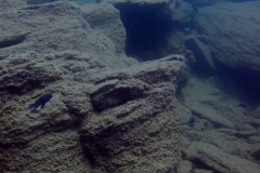 Mundola Point/Nkhata Bay