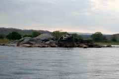 Nkolongwe
