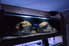 450-Liter-Nonmbuna-108