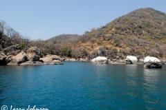 Otter Island