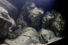 648-Liter-Becken-3