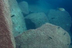 Taiwan Reef