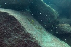 Taiwan Reef