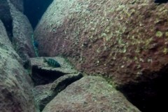 Taiwan Reef