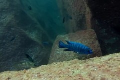 Taiwan Reef
