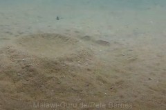 Tchinga Reef