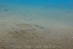 Tchinga Reef
