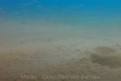 Tchinga Reef