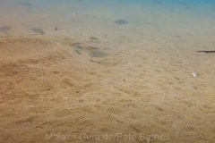 Tchinga Reef