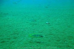 Tchinga Reef