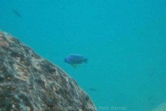 Tchinga Reef