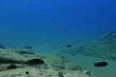 Tchinga Reef