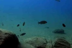 Tchinga Reef