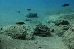 Tchinga Reef