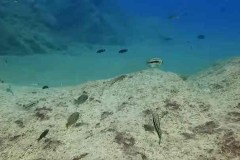 Tchinga Reef