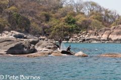 Thumbi East Island