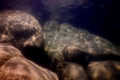 Thumbi East Island