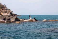 Thumbi East Island
