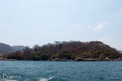 Thumbi East Island