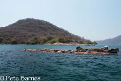 Thumbi West Island
