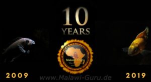 10 Jahre Malawi-Guru.de