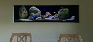 720 Liter Malawisee Aquarium Beispiel