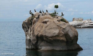 Die Region Malawi