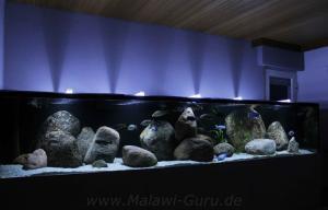 2900 Liter Nonmbuna Aquarium
