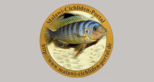 Malawi-Cichliden-Portal