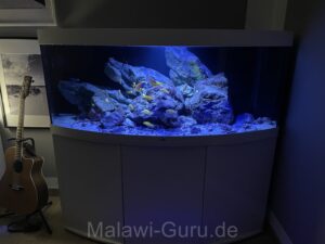 450 Liter Becken Mix Malawisee