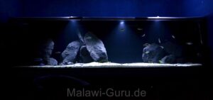 2880 Liter Malawisee Nonmbuna