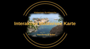 Karte Malawisee Standorte