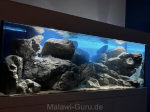 Mbuna Aquarium mit 450 Litern