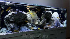 Mbuna Becken als Felszone 720 Liter