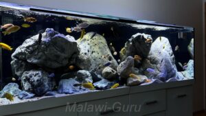 Mbuna Becken als Felszone 720 Liter