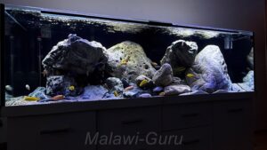 Mbuna Becken als Felszone 720 Liter