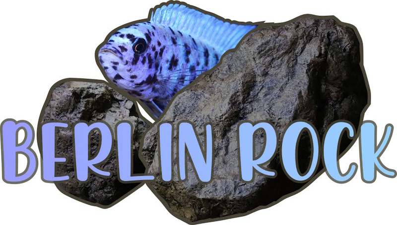 Berlin Rock