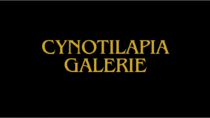 Die Cynotilapia aurifrons Arten Galerie Cynotilapia aurifrons Arten