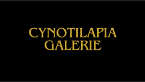 Cynotilapia Standorte Bildergalerie Cynotilapia Standorte Bildergalerie