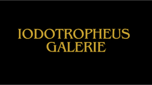 Iodotropheus Standorte Bildergalerie